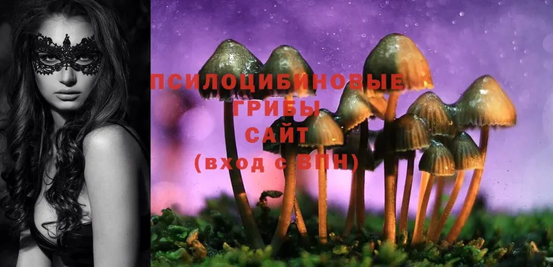 купить закладку  Володарск  Галлюциногенные грибы Magic Shrooms 